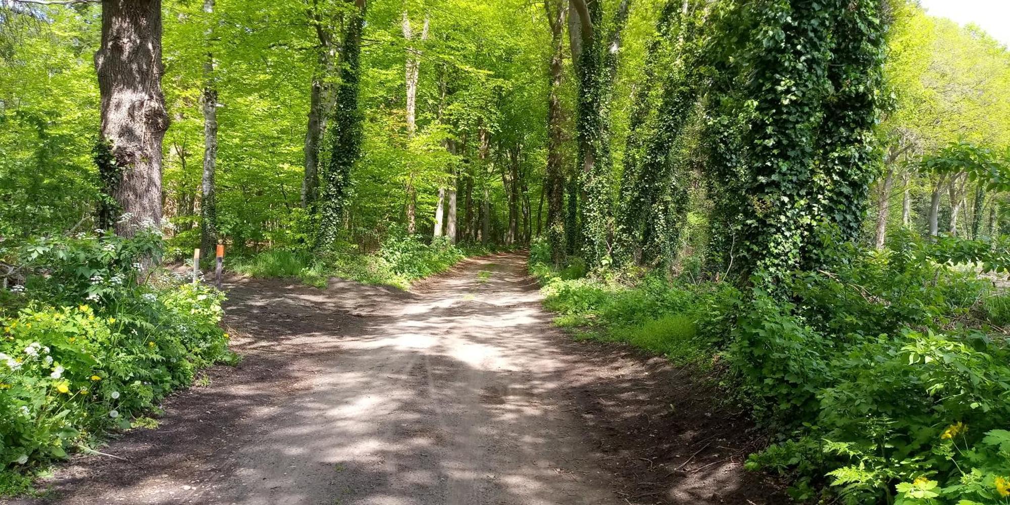 Boerderij De Aarnink Daire Heeten Dış mekan fotoğraf